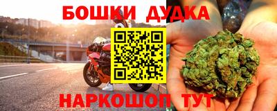 молекула духа Будённовск