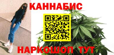 молекула духа Будённовск