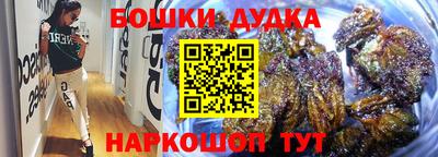 молекула духа Будённовск