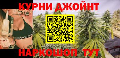 молекула духа Будённовск