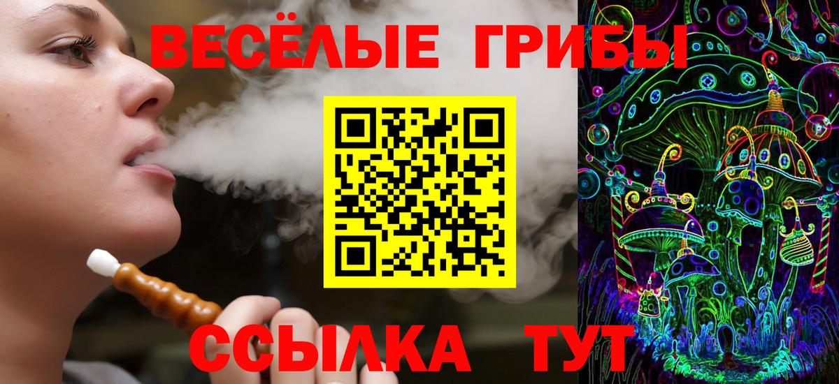 Псилоцибиновые грибы MAGIC MUSHROOMS  Псилоцибиновые грибы мухоморы  Щёкино  Вход с VPN 