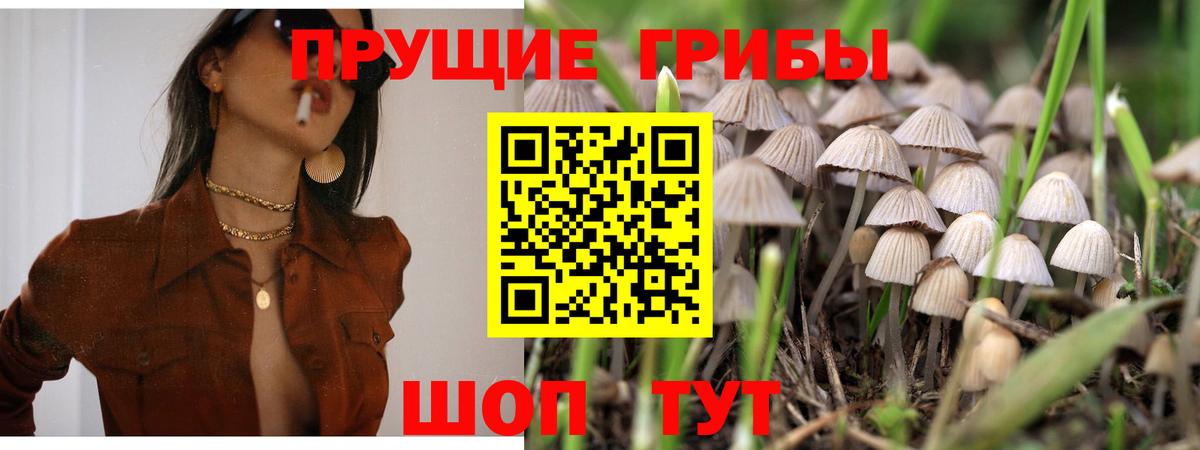 Галлюциногенные грибы прущие грибы Щёкино