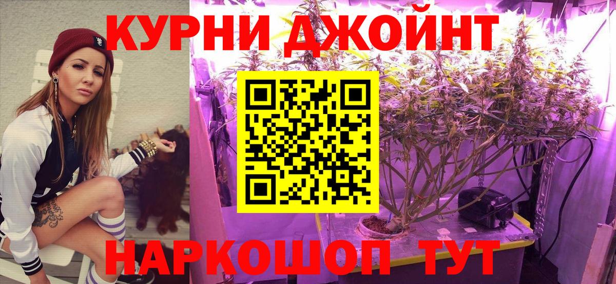 Бошки марихуана марихуана Щёкино